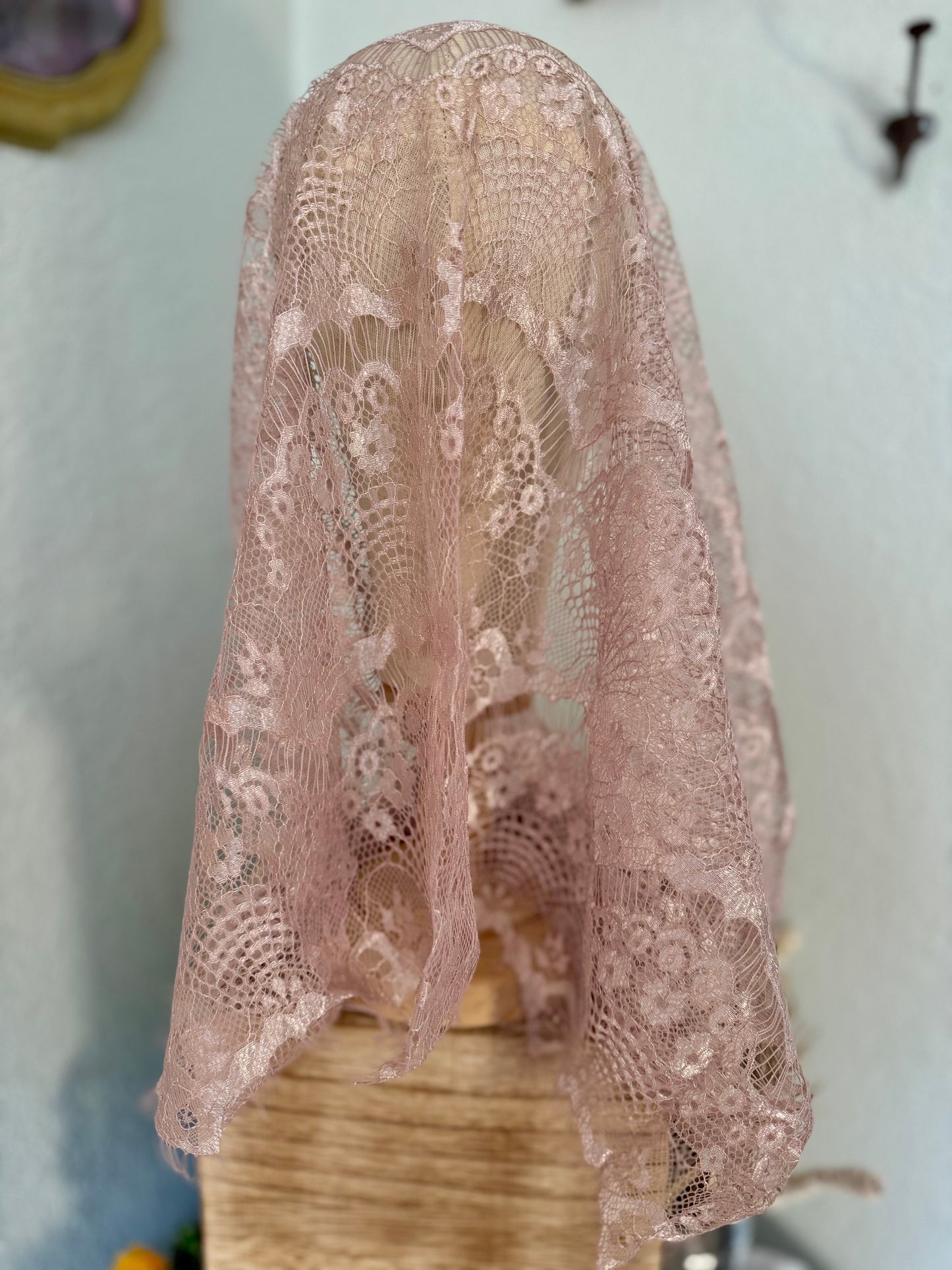 Elegant Light Pink Handmade Lace Infinity Veil 21x22