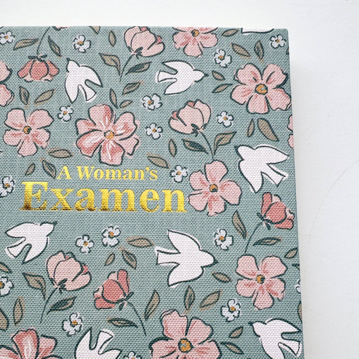Women's Daily Examen Prayer Journal | Guided Catholic Journal for Daily Reflection
