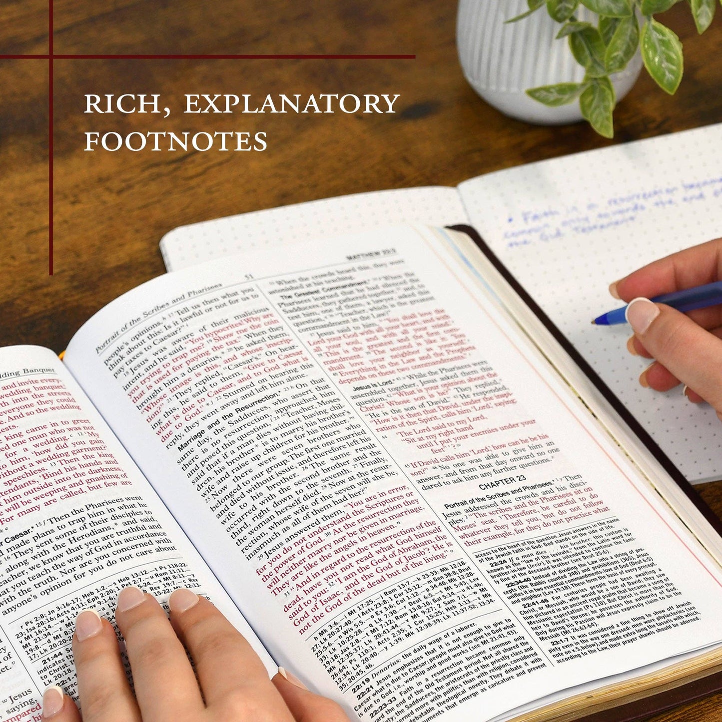 St. Joseph New Catholic Bible – Large Type Edition | NCB Catholic Bible